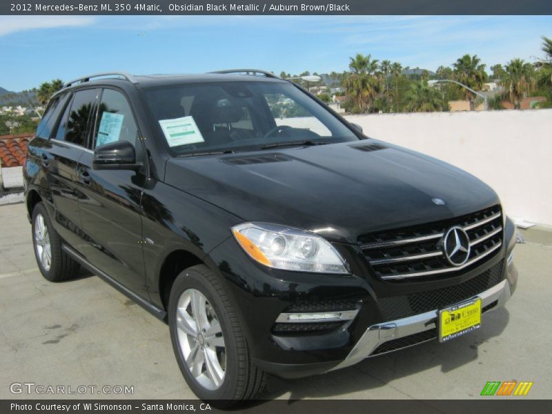 Obsidian Black Metallic / Auburn Brown/Black 2012 Mercedes-Benz ML 350 4Matic