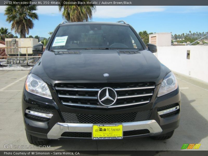 Obsidian Black Metallic / Auburn Brown/Black 2012 Mercedes-Benz ML 350 4Matic