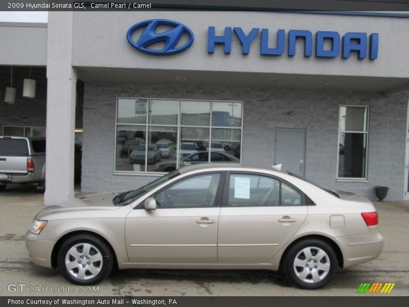 Camel Pearl / Camel 2009 Hyundai Sonata GLS