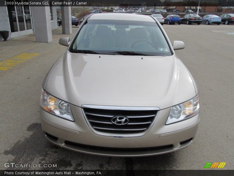 Camel Pearl / Camel 2009 Hyundai Sonata GLS