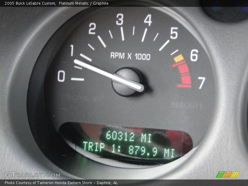 Platinum Metallic / Graphite 2005 Buick LeSabre Custom