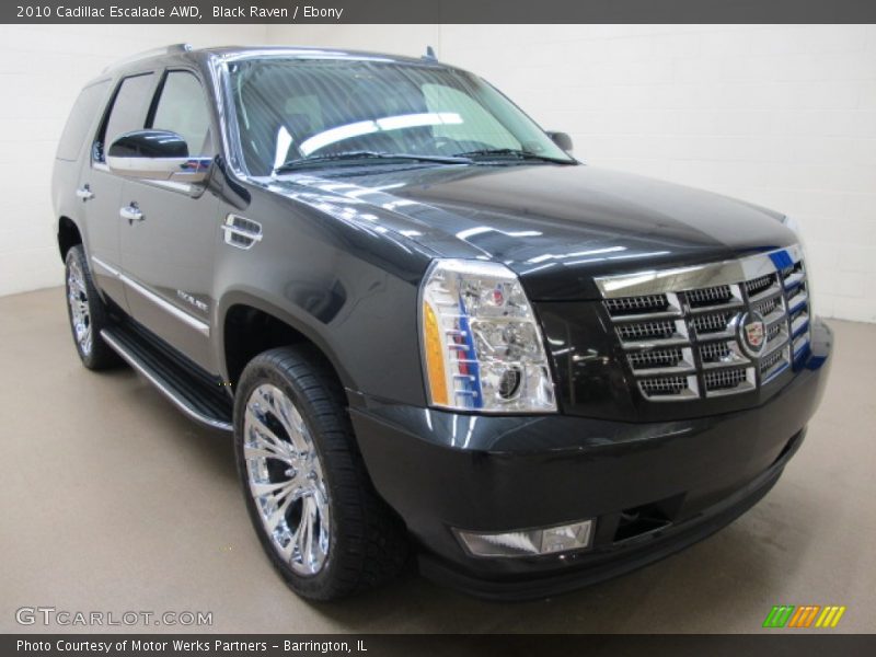 Black Raven / Ebony 2010 Cadillac Escalade AWD
