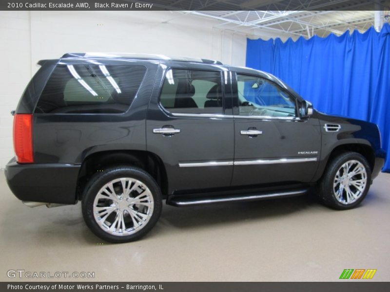 Black Raven / Ebony 2010 Cadillac Escalade AWD