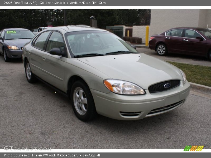 Gold Ash Metallic / Medium/Dark Flint Grey 2006 Ford Taurus SE