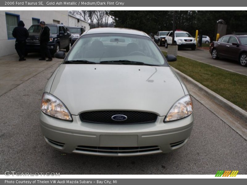 Gold Ash Metallic / Medium/Dark Flint Grey 2006 Ford Taurus SE
