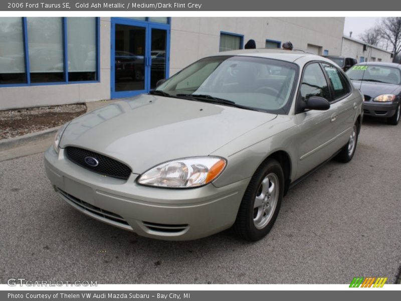 Gold Ash Metallic / Medium/Dark Flint Grey 2006 Ford Taurus SE