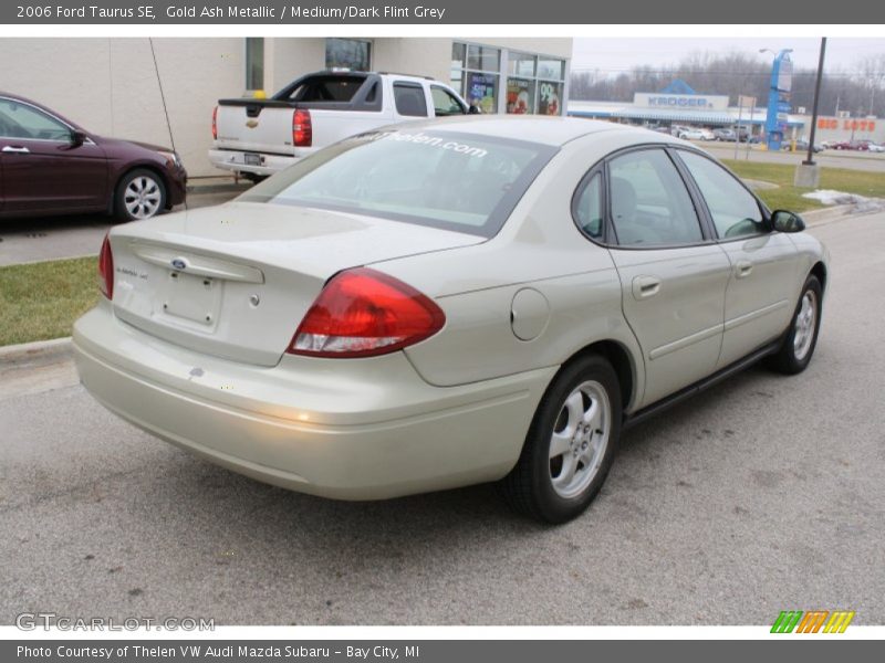 Gold Ash Metallic / Medium/Dark Flint Grey 2006 Ford Taurus SE