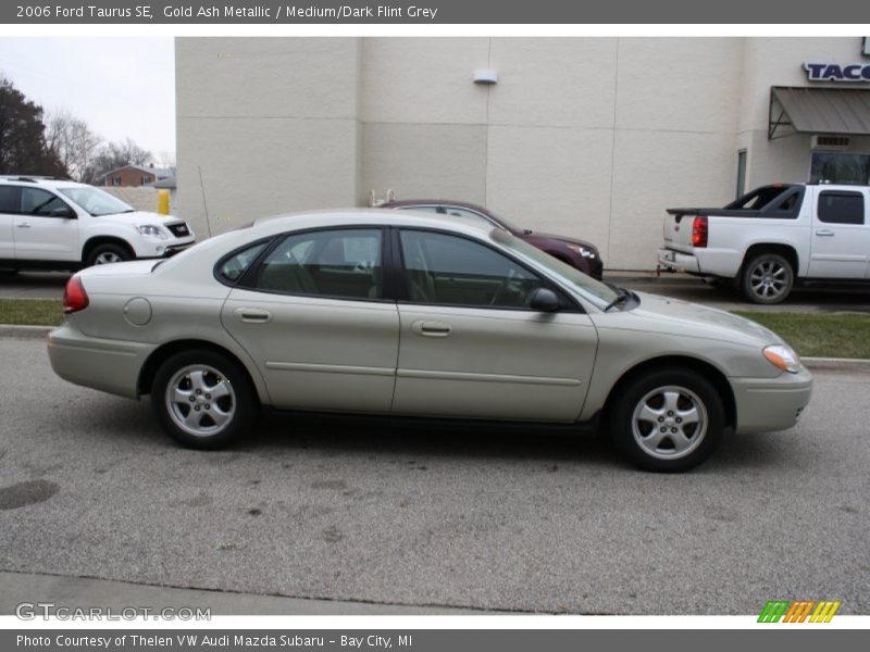Gold Ash Metallic / Medium/Dark Flint Grey 2006 Ford Taurus SE