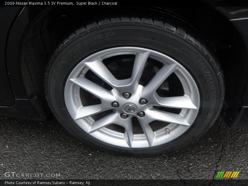 Super Black / Charcoal 2009 Nissan Maxima 3.5 SV Premium