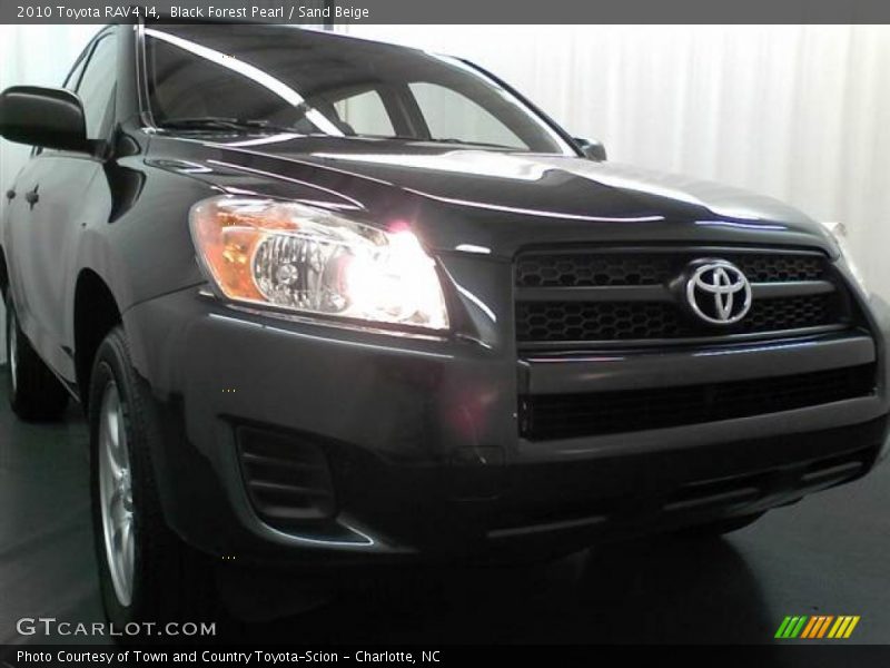 Black Forest Pearl / Sand Beige 2010 Toyota RAV4 I4