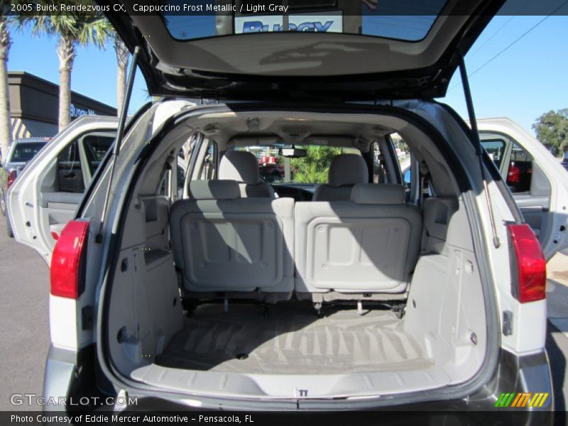 Cappuccino Frost Metallic / Light Gray 2005 Buick Rendezvous CX