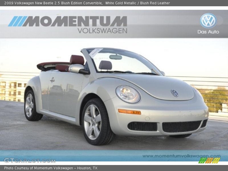 White Gold Metallic / Blush Red Leather 2009 Volkswagen New Beetle 2.5 Blush Edition Convertible