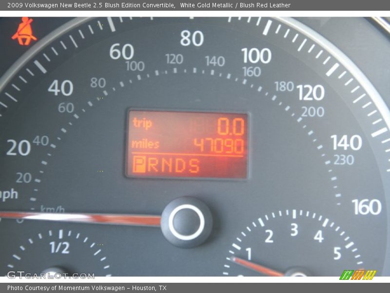 White Gold Metallic / Blush Red Leather 2009 Volkswagen New Beetle 2.5 Blush Edition Convertible