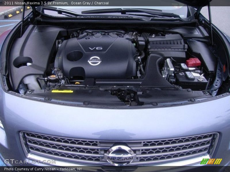Ocean Gray / Charcoal 2011 Nissan Maxima 3.5 SV Premium