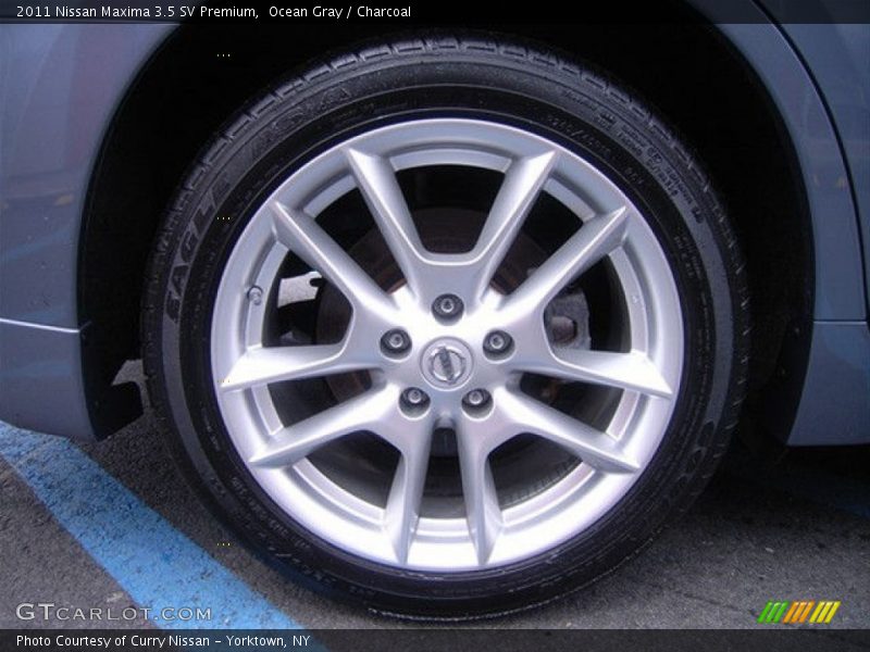 Ocean Gray / Charcoal 2011 Nissan Maxima 3.5 SV Premium