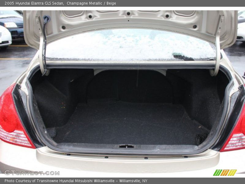 Champagne Metallic / Beige 2005 Hyundai Elantra GLS Sedan