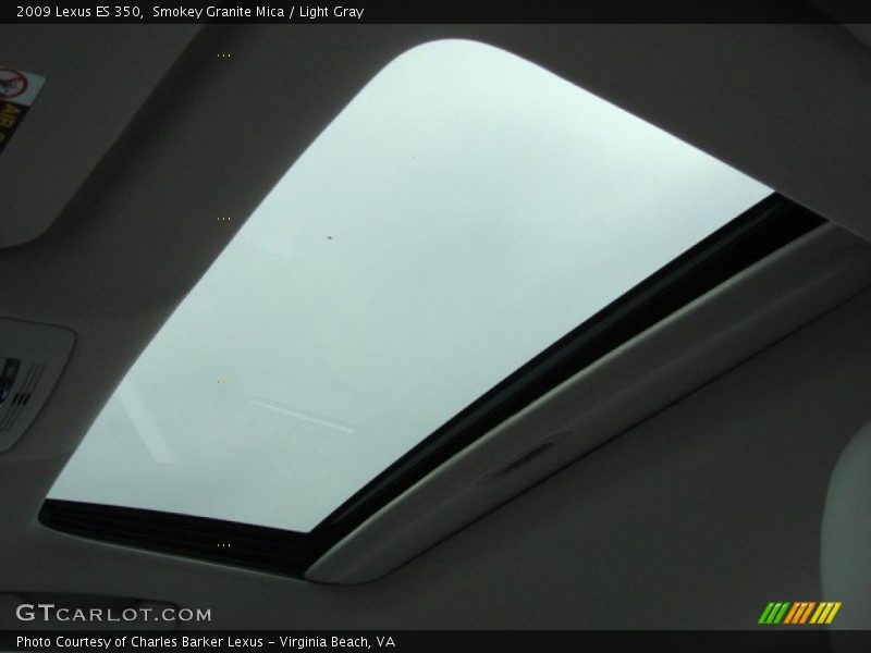 Smokey Granite Mica / Light Gray 2009 Lexus ES 350