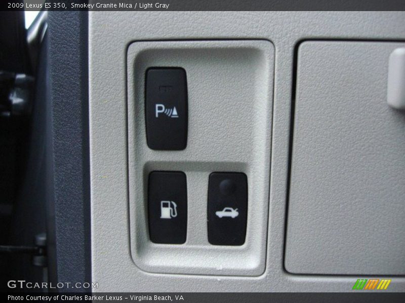 Smokey Granite Mica / Light Gray 2009 Lexus ES 350