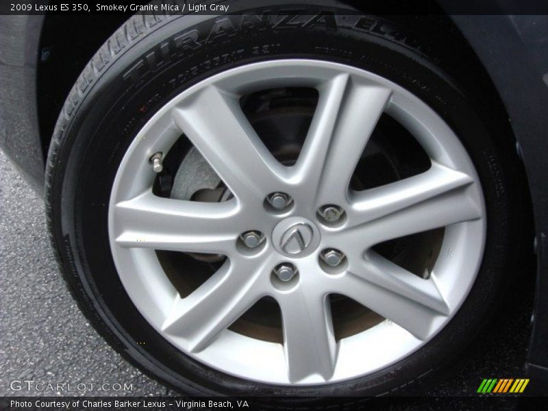 Smokey Granite Mica / Light Gray 2009 Lexus ES 350