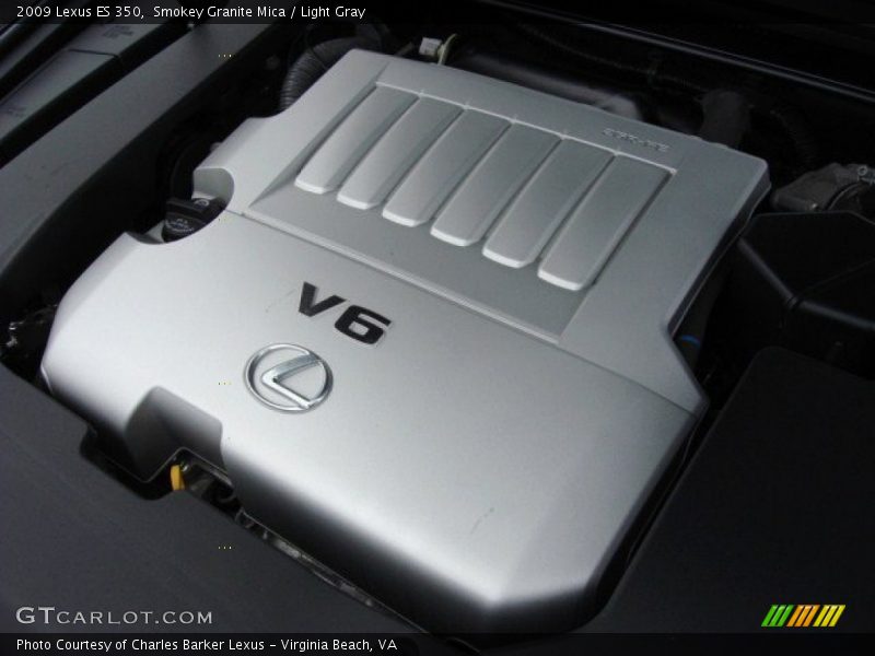 Smokey Granite Mica / Light Gray 2009 Lexus ES 350