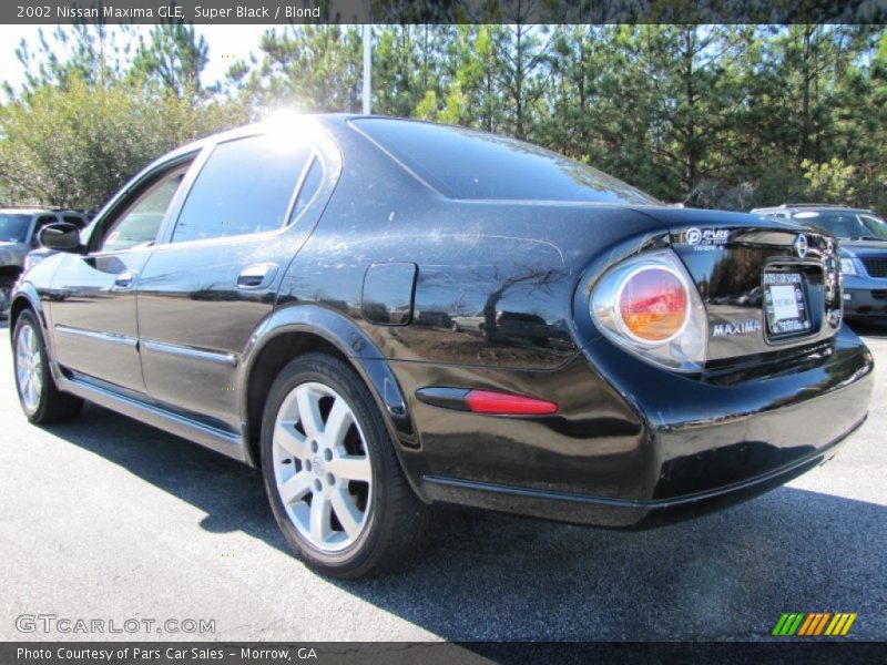 Super Black / Blond 2002 Nissan Maxima GLE