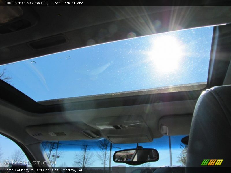 Super Black / Blond 2002 Nissan Maxima GLE