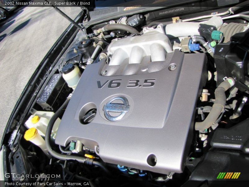 Super Black / Blond 2002 Nissan Maxima GLE
