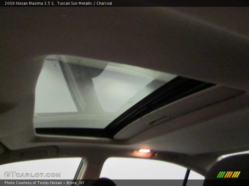 Tuscan Sun Metallic / Charcoal 2009 Nissan Maxima 3.5 S