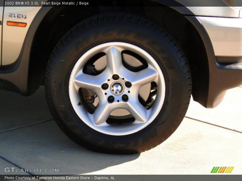 Pearl Beige Metallic / Beige 2002 BMW X5 3.0i