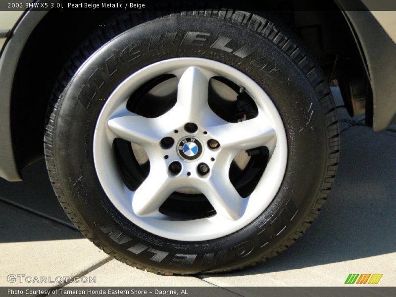 Pearl Beige Metallic / Beige 2002 BMW X5 3.0i