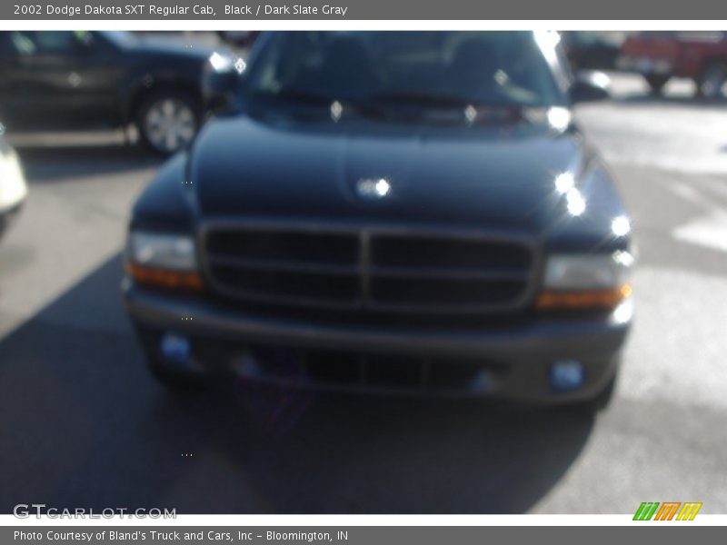 Black / Dark Slate Gray 2002 Dodge Dakota SXT Regular Cab