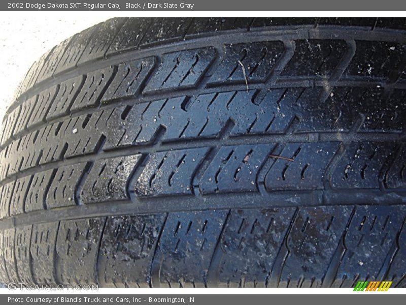 Black / Dark Slate Gray 2002 Dodge Dakota SXT Regular Cab