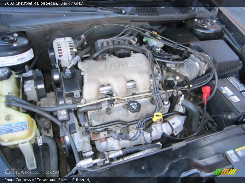 Black / Gray 2003 Chevrolet Malibu Sedan