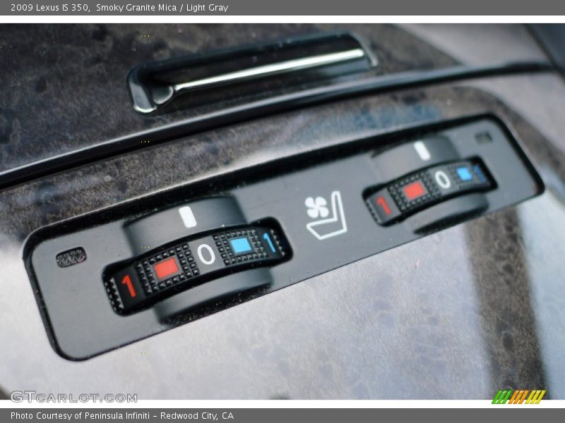 Smoky Granite Mica / Light Gray 2009 Lexus IS 350