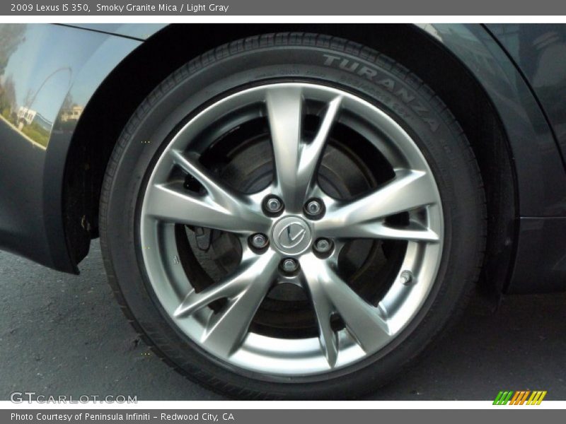 Smoky Granite Mica / Light Gray 2009 Lexus IS 350