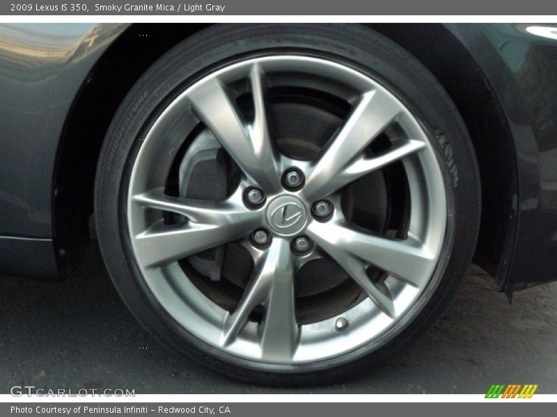 Smoky Granite Mica / Light Gray 2009 Lexus IS 350