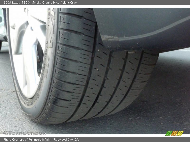 Smoky Granite Mica / Light Gray 2009 Lexus IS 350