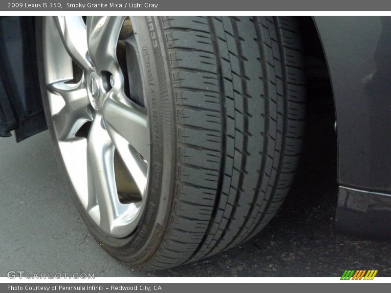 Smoky Granite Mica / Light Gray 2009 Lexus IS 350