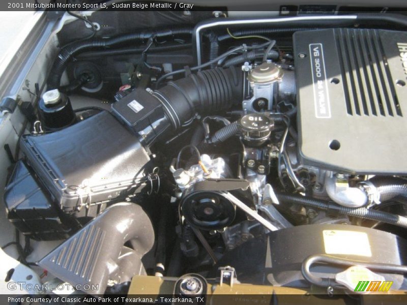 Sudan Beige Metallic / Gray 2001 Mitsubishi Montero Sport LS