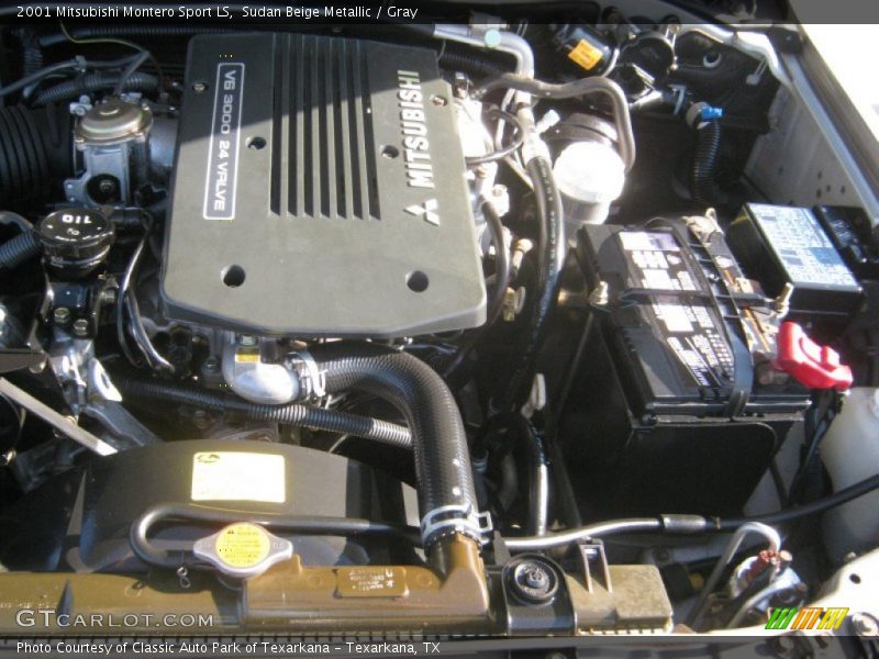 Sudan Beige Metallic / Gray 2001 Mitsubishi Montero Sport LS