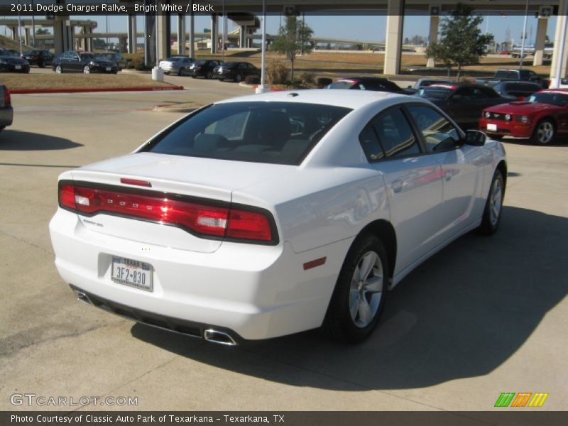 Bright White / Black 2011 Dodge Charger Rallye