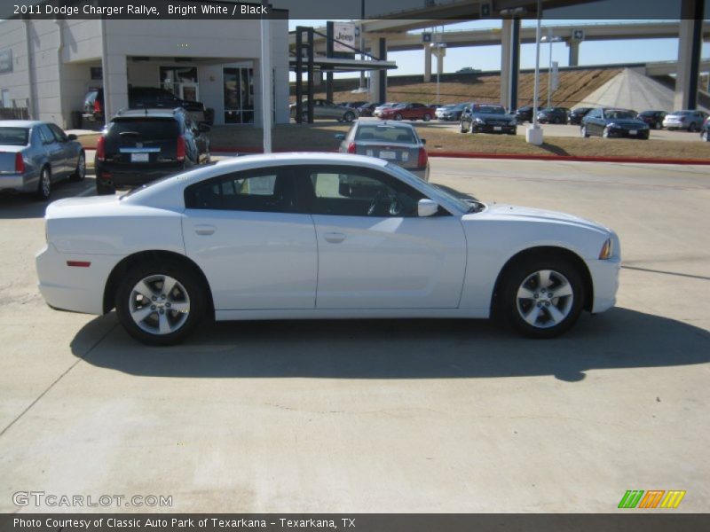 Bright White / Black 2011 Dodge Charger Rallye