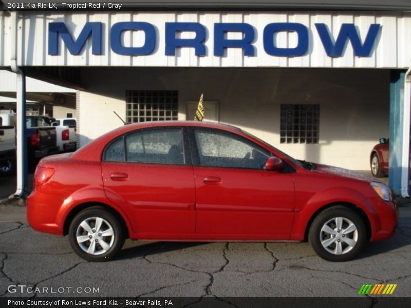 Tropical Red / Gray 2011 Kia Rio LX