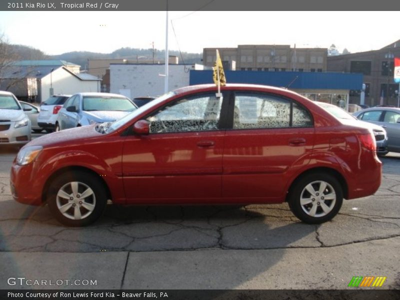 Tropical Red / Gray 2011 Kia Rio LX