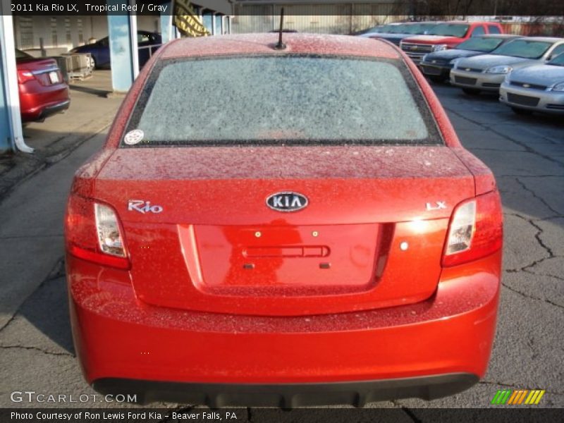 Tropical Red / Gray 2011 Kia Rio LX