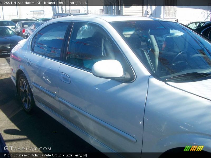Icelandic White Pearl / Black 2001 Nissan Maxima SE