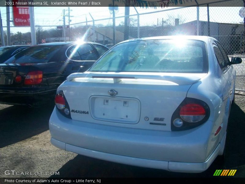 Icelandic White Pearl / Black 2001 Nissan Maxima SE