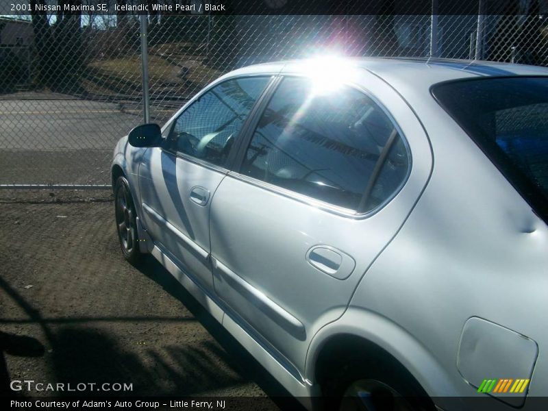 Icelandic White Pearl / Black 2001 Nissan Maxima SE