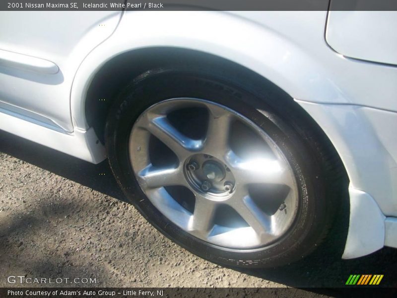 Icelandic White Pearl / Black 2001 Nissan Maxima SE