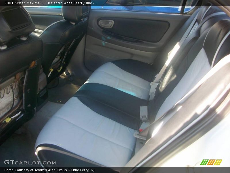 Icelandic White Pearl / Black 2001 Nissan Maxima SE